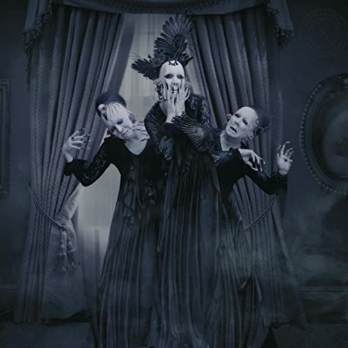 Have You Seen This Ghost - Sopor Aeternus - Music - APOCALYPTIC VISION - 8016670151975 - November 11, 2021