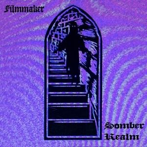 Cover for Filmmaker · Somber Realm (LP) (2020)