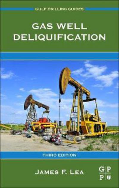 Cover for Lea Jr., James F. (Independent Consultant, PLTech LLC, Texas, USA) · Gas Well Deliquification - Gulf Drilling Guides (Paperback Book) (2019)
