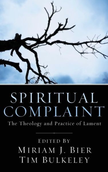 Cover for Miriam Bier · Spiritual Complaint (Hardcover Book) (2013)