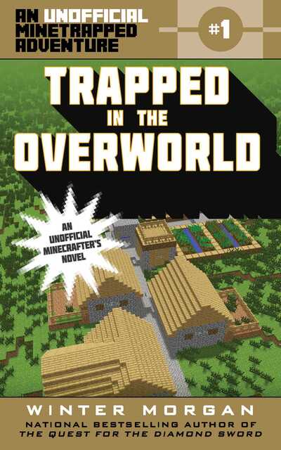 Cover for Winter Morgan · Trapped in the Overworld (Book) (2016)