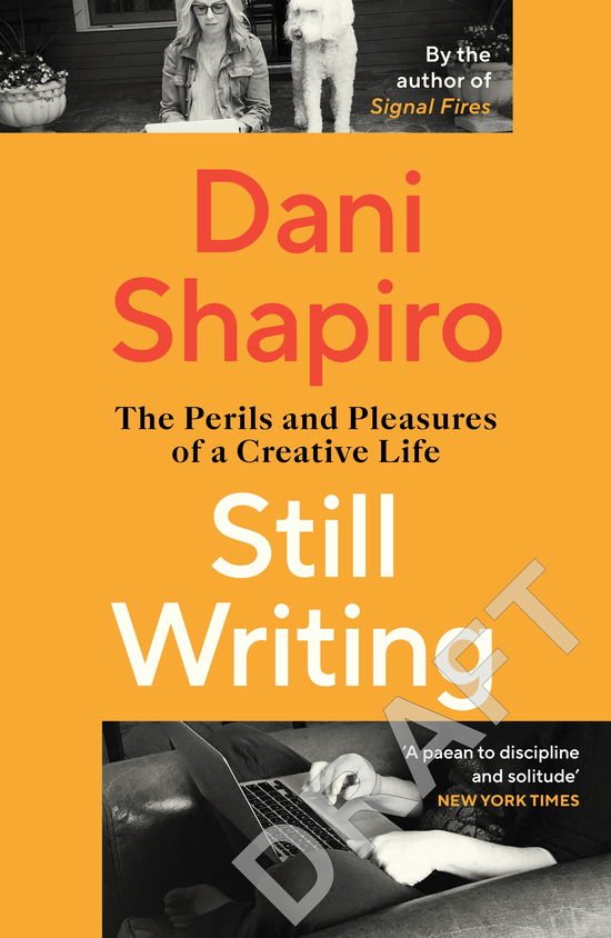 Cover for Dani Shapiro · Still Writing: The Perils and Pleasures of a Creative Life (Paperback Book) (2025)