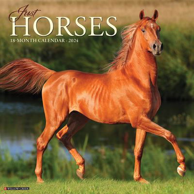 Willow Creek Press · Just Horses 2024 12 X 12 Wall Calendar (Kalender) (2023)