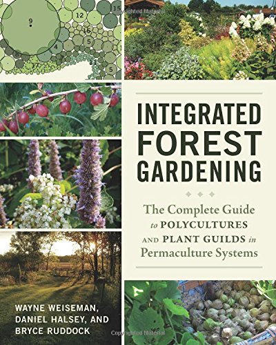 Cover for Wayne Weiseman · Integrated Forest Gardening: The Complete Guide to Polycultures and Plant Guilds in Permaculture Systems (Taschenbuch) (2014)