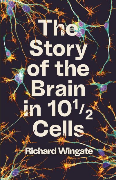 Cover for Richard Wingate · The Story of the Brain in 101/2 Cells (Paperback Book) [Main edition] (2025)