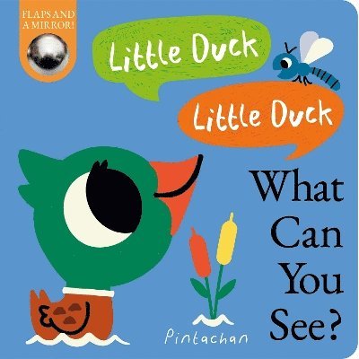 Little Duck, Little Duck, What Can You See? - What Can You See? - Kate Ware - Böcker - Little Tiger Press Group - 9781838917975 - 3 april 2025