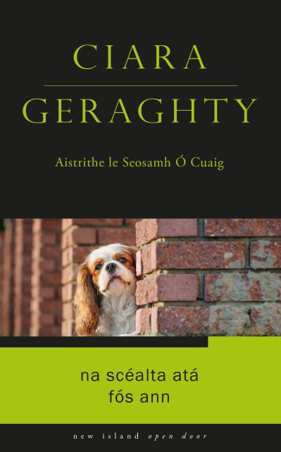 Na Scealta Ata Fos Ann - Open Door as Gaeilge - Ciara Geraghty - Bøger - New Island Books - 9781848408975 - 8. august 2023