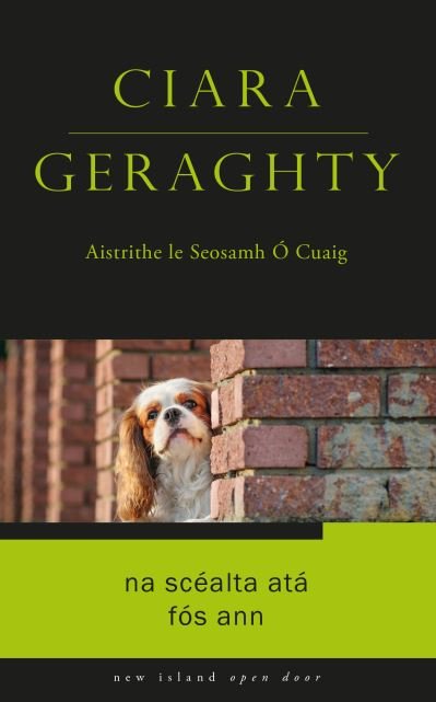 Na Scealta Ata Fos Ann - Open Door as Gaeilge - Ciara Geraghty - Books - New Island Books - 9781848408975 - August 8, 2023