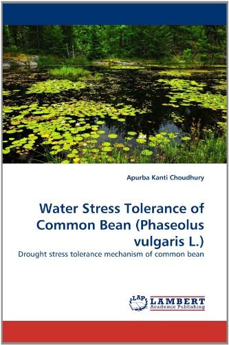Cover for Apurba Kanti Choudhury · Water Stress Tolerance of Common Bean (Phaseolus Vulgaris L.): Drought Stress Tolerance Mechanism of Common Bean (Taschenbuch) (2011)