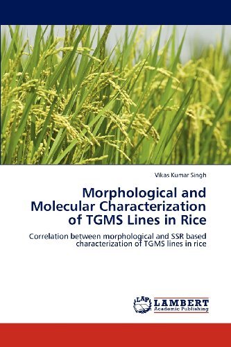 Cover for Vikas Kumar Singh · Morphological and Molecular Characterization of Tgms Lines in Rice: Correlation Between Morphological and Ssr Based Characterization of Tgms Lines in Rice (Pocketbok) (2012)