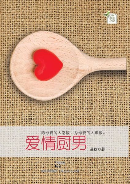 Cover for Mei Lu · Ai Qing Chu Nan (Paperback Book) [Chinese edition] (2013)