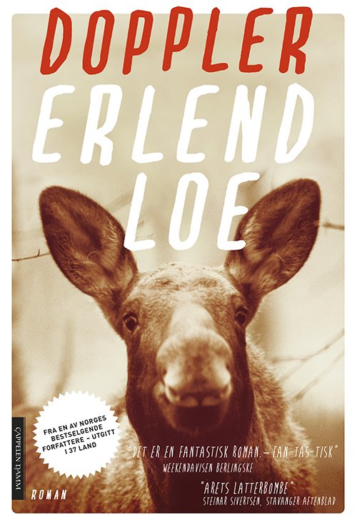 Cover for Erlend Loe · Doppler (Bog) (2013)