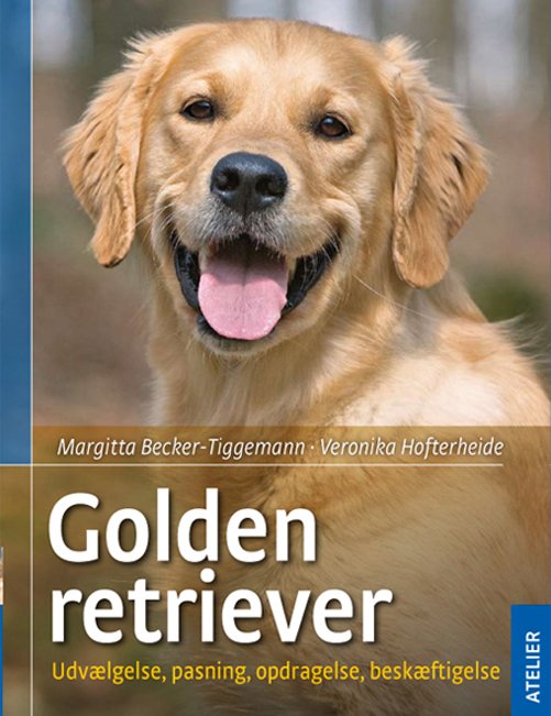 Golden retriever - Veronika Hofterheide Margitta Becker-Tiggemann - Kirjat - Atelier - 9788778575975 - maanantai 10. lokakuuta 2011