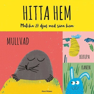 Cover for Claudia Boldt · Hitta hem : matcha 27 djur med sina hem (memoryspel) (SPEL) (2017)
