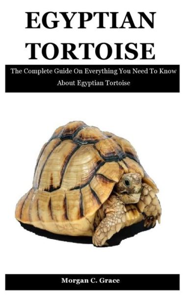 Cover for Morgan C Grace · Egyptian Tortoise: The Complete Guide On Everything You Need To Know About Egyptian Tortoise (Paperback Book) (2021)