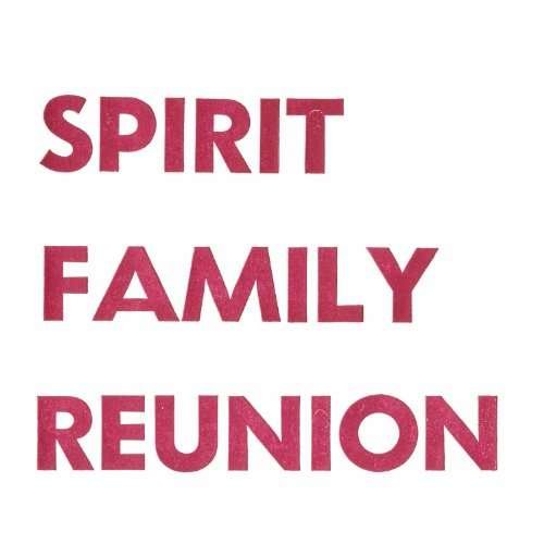 Cover for Spirit Family Reunion · No Separation (LP) (2013)