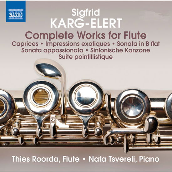 Cover for Roordatsvereli · Kargelertcomplete Works For Flute (CD) (2014)