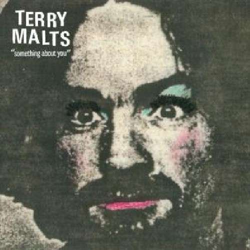 Something About You - Terry Malts - Music - SLUMBERLAND - 0749846015976 - October 11, 2011