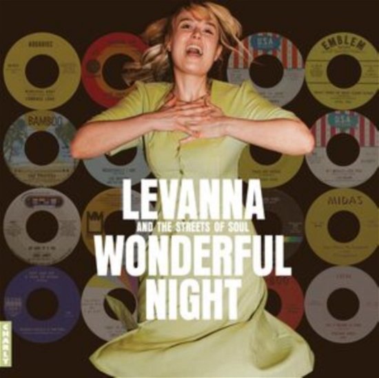 Cover for Wonderful Night Curated By Levanna (CD) (2024)