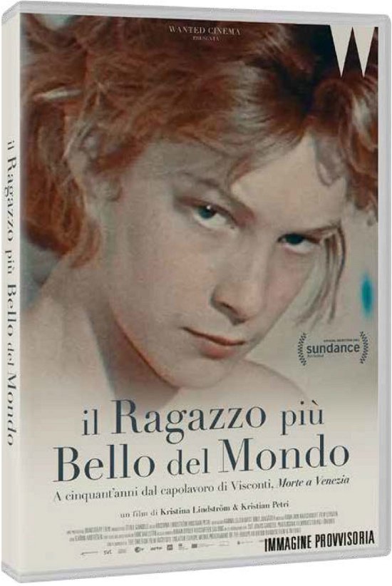 Cover for Ragazzo Piu' Bello Del Mondo ( · Ragazzo Piu' Bello Del Mondo (Il) (DVD) (2022)