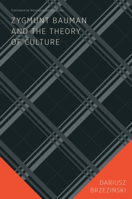 Cover for Dariusz Brzezinski · Zygmunt Bauman and the Theory of Culture (Paperback Book) (2022)
