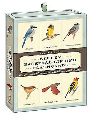 Cover for David Allen Sibley · Sibley Backyard Birding Flashcards: 100 Common Birds of Eastern and Western North America - Sibley Birds (Flashcards) (2012)