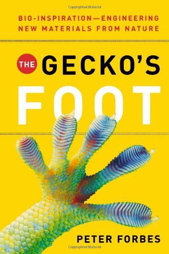 Cover for Peter Forbes · The Gecko's Foot: Bio-inspiration: Engineering New Materials from Nature (Taschenbuch) (2024)