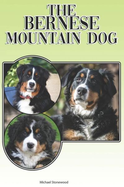 Cover for Michael Stonewood · The Bernese Mountain Dog (Paperback Book) (2019)