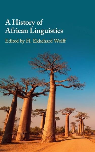 Cover for H Ekkehard Wolff · A History of African Linguistics (Inbunden Bok) (2019)