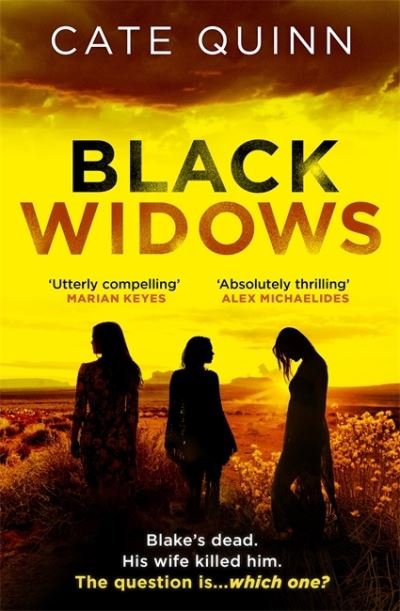 Cover for Cate Quinn · Black Widows: The atmospheric and addictive Mormon murder mystery (Paperback Bog) (2021)