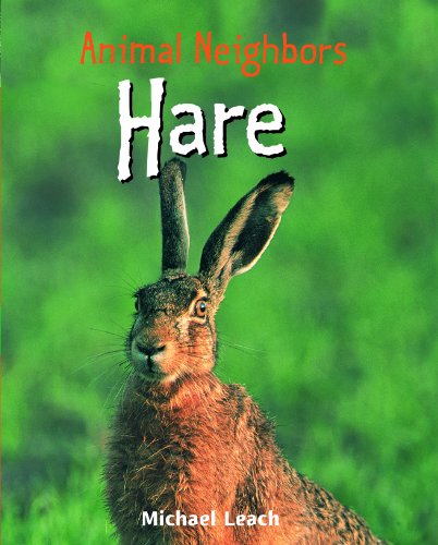 Cover for Michael Leach · Hare (Animal Neighbors) (Hardcover Book) (2008)