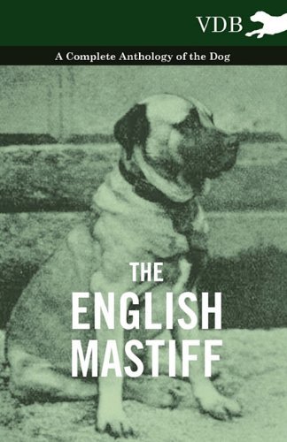 Cover for The English Mastiff - a Complete Anthology of the Dog (Paperback Book) (2010)