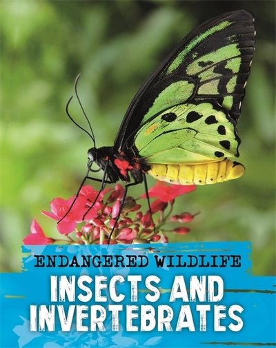 Cover for Anita Ganeri · Endangered Wildlife: Rescuing Insects and Invertebrates (Hardcover bog) (2020)
