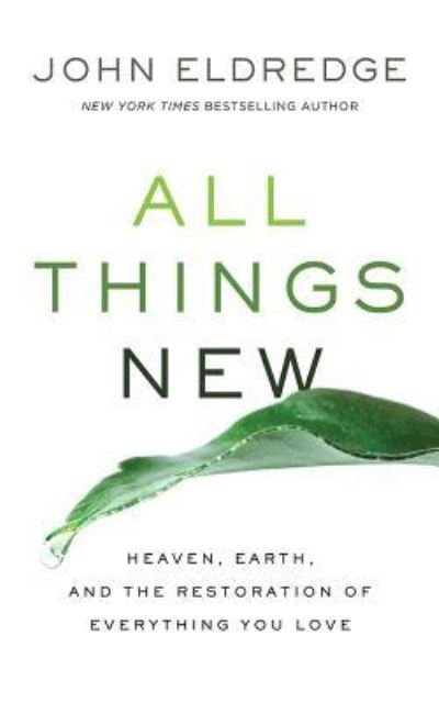 Cover for John Eldredge · All Things New (CD) (2017)