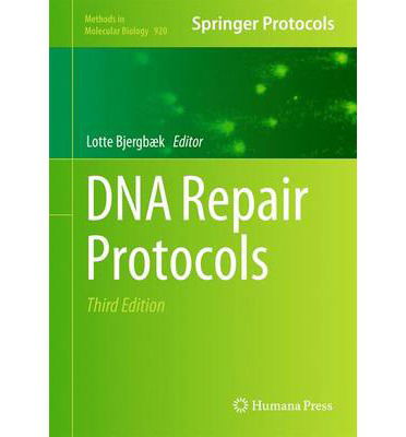 Cover for Lotte Bjergb K · DNA Repair Protocols - Methods in Molecular Biology (Hardcover Book) [3rd ed. 2012 edition] (2012)