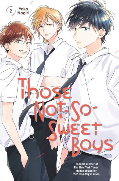 Those Not-So-Sweet Boys 2 - Those Not-So-Sweet Boys - Yoko Nogiri - Bøger - Kodansha America, Inc - 9781646511976 - 18. maj 2021