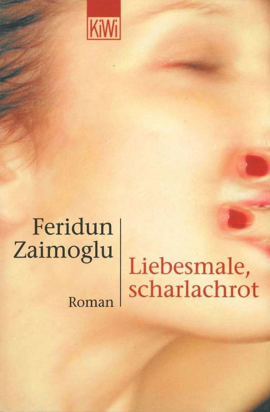 Cover for Feridun Zaimoglu · Kiwi Tb.675 Zaimoglu.liebesmale (Book)