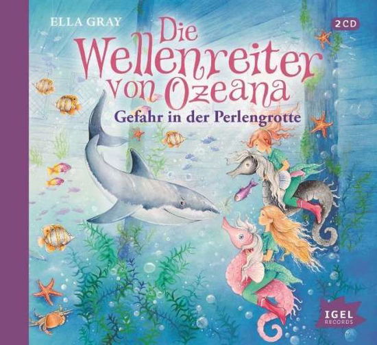 Wellenreiter von Ozeana,Gefahr.CD - Gray - Books - IGEL RECORDS - 9783731310976 - July 17, 2015