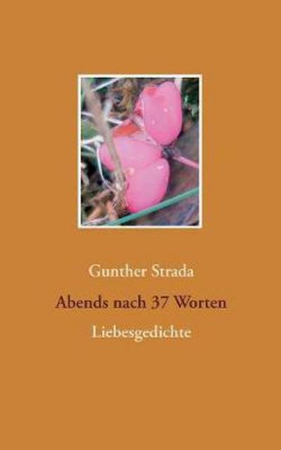 Cover for Strada · Abends nach 37 Worten (Book) (2017)