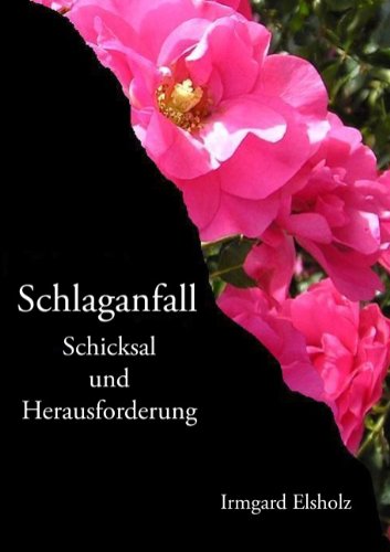 Cover for Irmgard Elsholz · Schlaganfall (Paperback Book) [German edition] (2006)