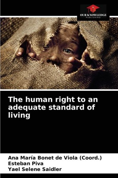 Cover for Ana Maria Bonet de Viola (Coord ) · The human right to an adequate standard of living (Paperback Book) (2021)