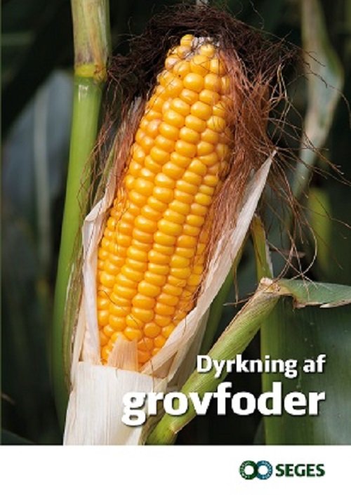 Cover for Martin Mikkelsen, Torben Spanggaard Frandsen, Karsten Attermann Nielsen · Dyrkning af grovfoder (Paperback Book) [6e uitgave] (2021)