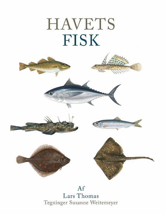 Cover for Lars Thomas · De hvide bøger: Havets fisk (Gebundesens Buch) [1. Ausgabe] (2024)