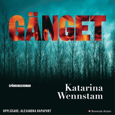 Cover for Katarina Wennstam · Charlotta Lugn och Shirin Sundin: Gänget (Audiobook (MP3)) (2017)