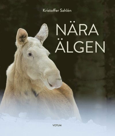 Cover for Kristoffer Sahlén · Nära älgen (Bound Book) (2023)