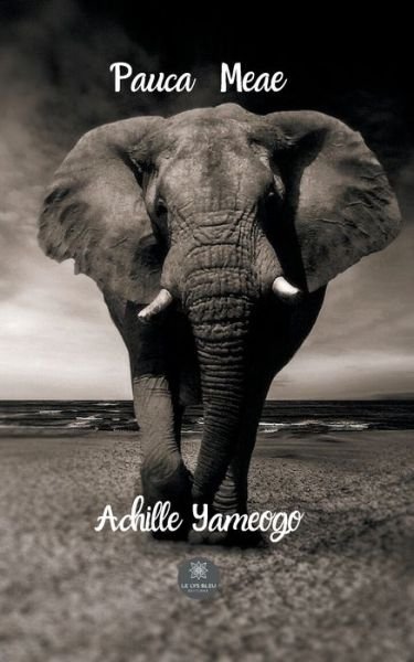 Cover for Achille Yameogo · Pauca Meae (Paperback Book) (2020)