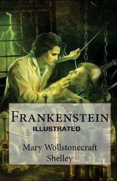 Cover for Mary W Shelley · Frankenstein Illustrated (Paperback Book) (2021)