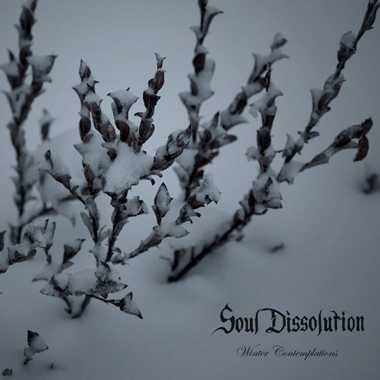 Cover for Soul Dissolution · Winter Contemplations (CD) (2020)