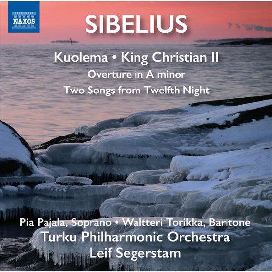 Cover for Sibelius / Pajala / Turku Philharmonic Orchestra · Orchestral Works (CD) (2015)