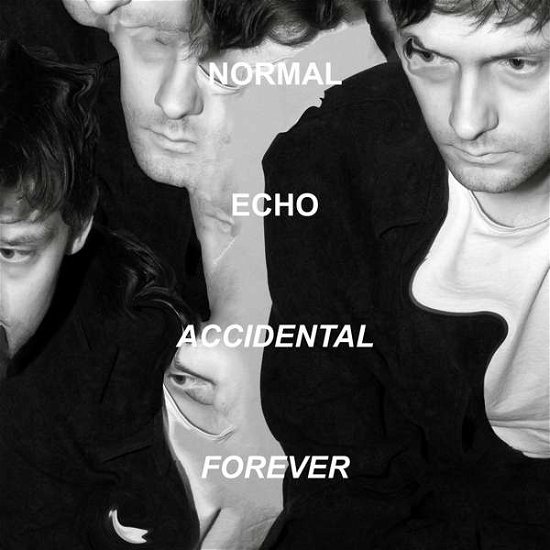 Normal Echo · Accidental Forever (LP) (2015)